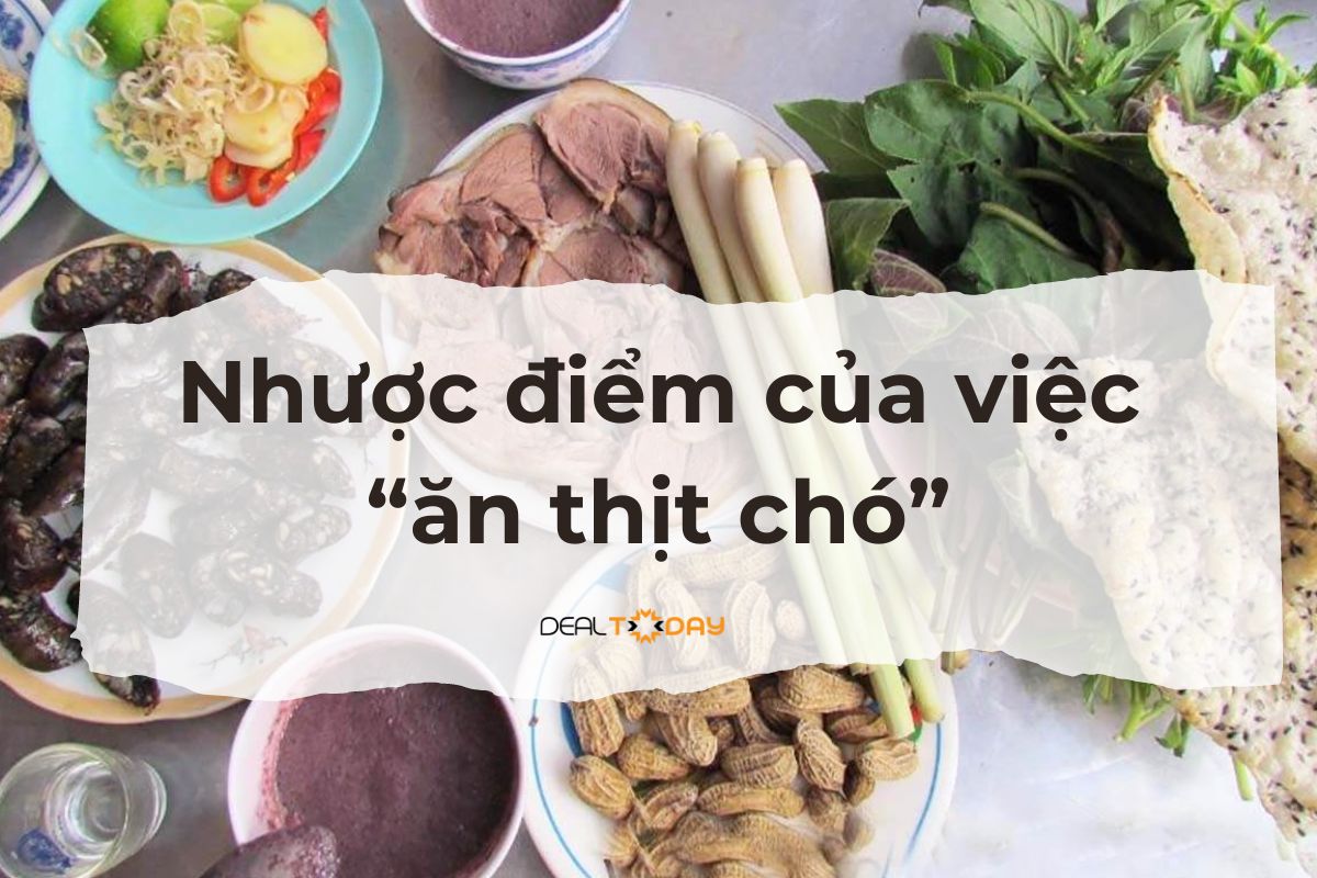 nhuoc-diem-cua-viec-an-thit-cho