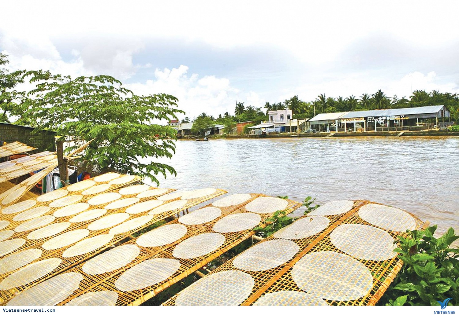 banh-trang-tuy-loan