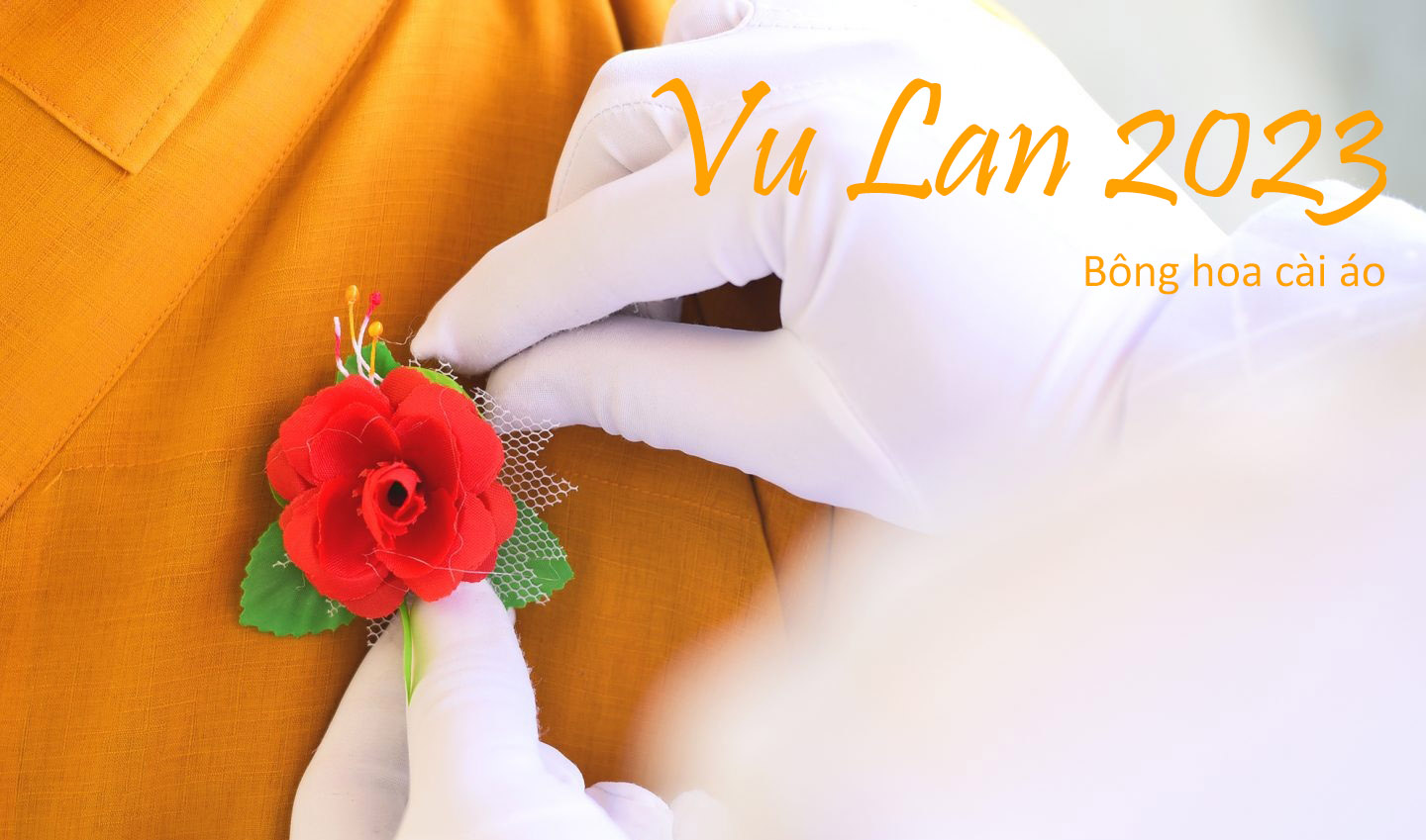 bong-hoa-cai-ao-vu-lan-bao-hieu-2023