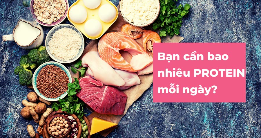 che-do-ăn-giau-protein