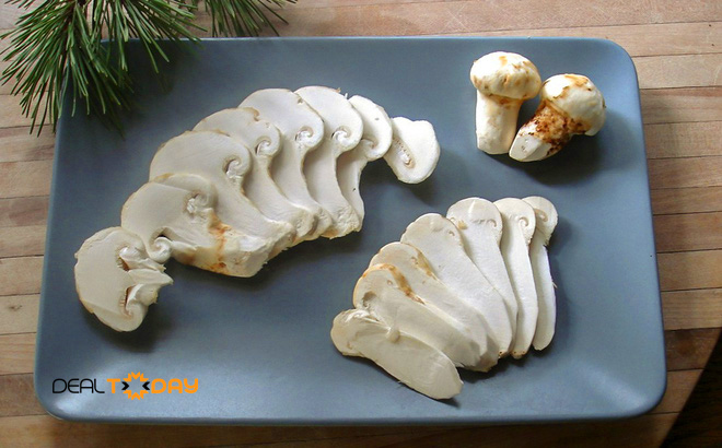 cong-dung-cua-nam-tung-nhung