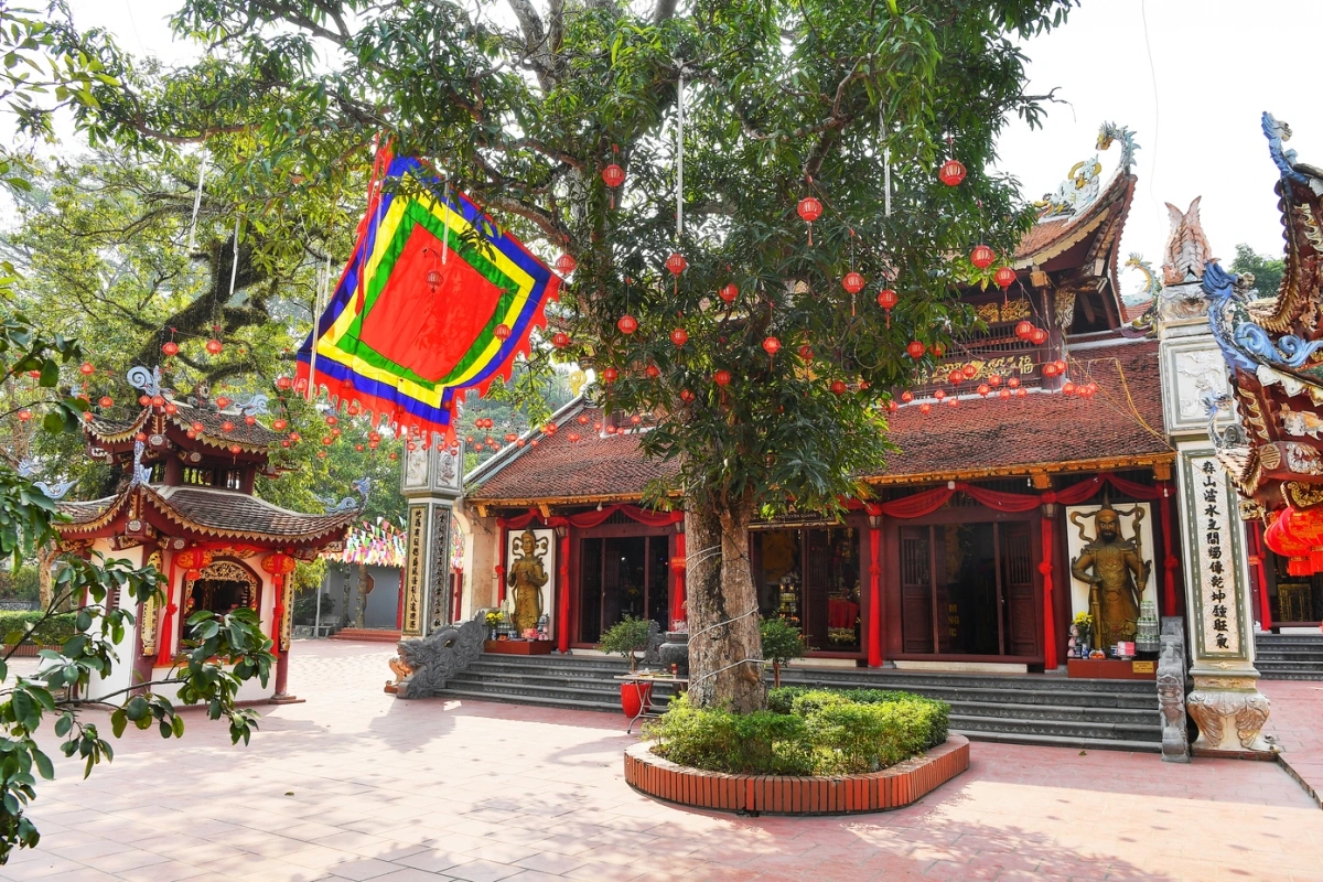 dem-thuong-tuyen-quang