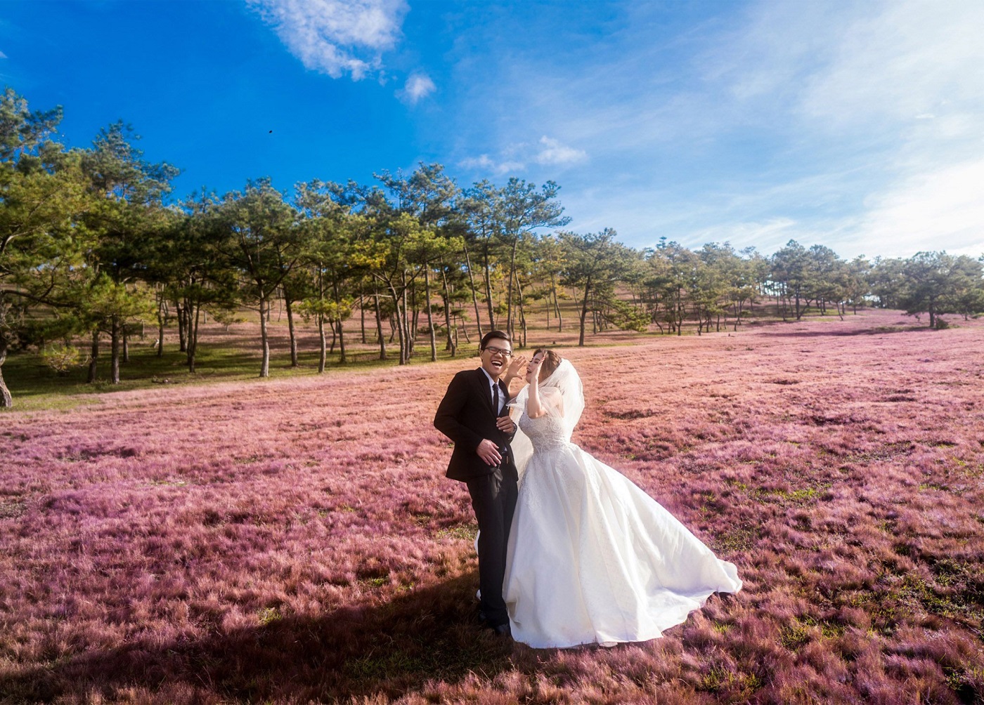 doi-co-hong-da-lat