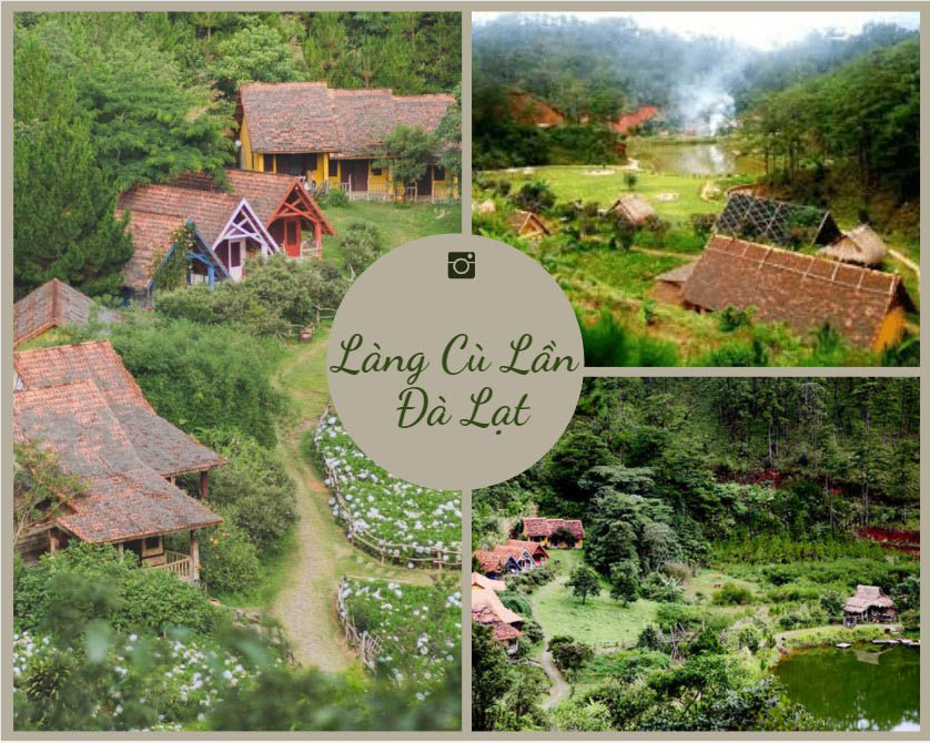 gia-ve-lang-cu-lan-da-lat