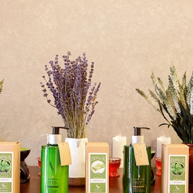 Vòm Spa