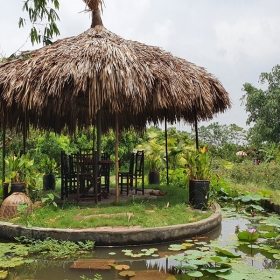 Thảo viên gió sông Hồng