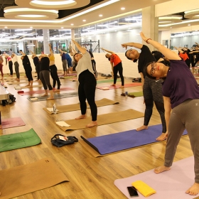Life Fitness Yoga