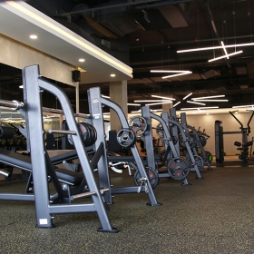Life Fitness Yoga