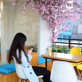 Soya Garden