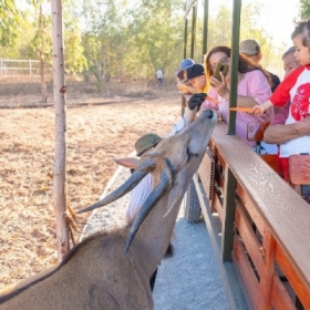 Novadreams Phan Thiết