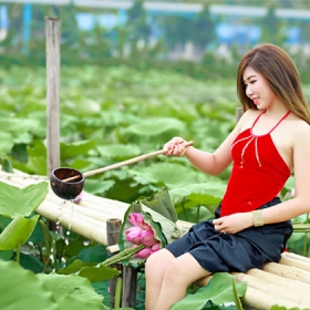 An Đông Studio