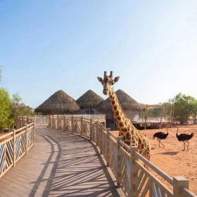 Khu vui chơi Safari Cafe - Vé vui chơi dành cho trẻ em