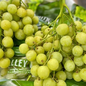 Luôn Tươi Sạch