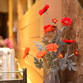 Linh Spa