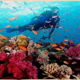 Sun World Hòn Thơm