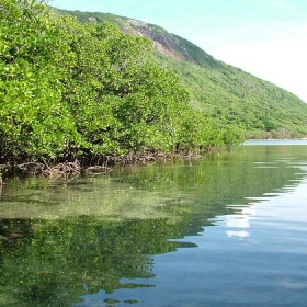 Island Sea Travel