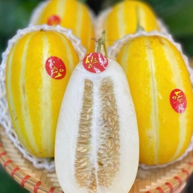 Luôn Tươi Sạch