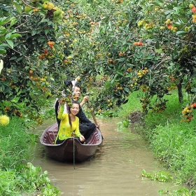 Đại Việt Tourist 