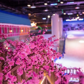 Snow Town Sài Gòn 