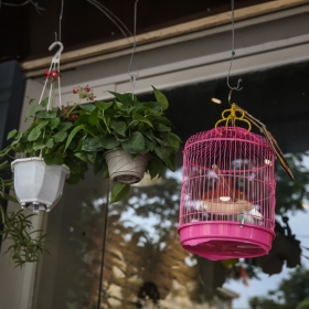 Guu Kafe