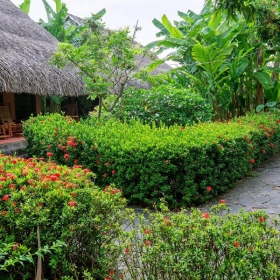 Mekong Lodge Resort