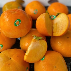 Luôn Tươi Sạch