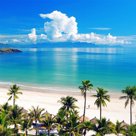 Việt Asian Nha Trang 