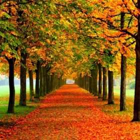 HM Travel