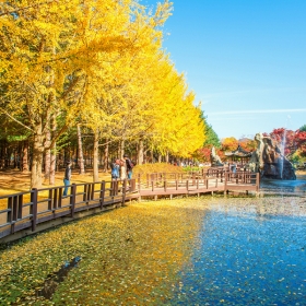 CÔNG TY TNHH MTV DỊCH VỤ VÀ DU LỊCH SAIGON TRAVEL