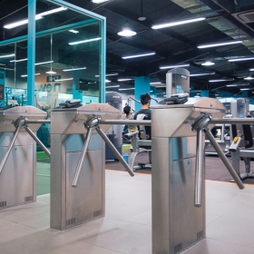 The New Gym
