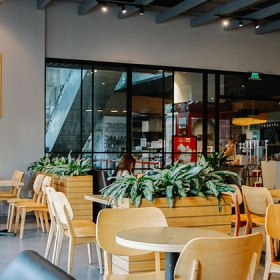 The Coffee Bean