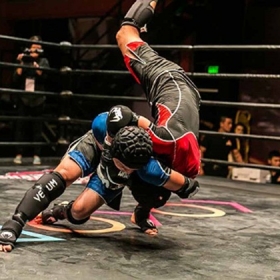 Cocobay Championship Fighter In You