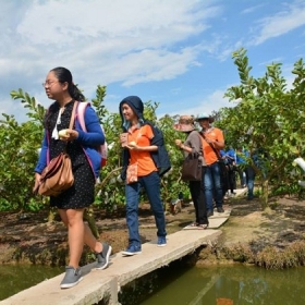 Nam Trip Travel