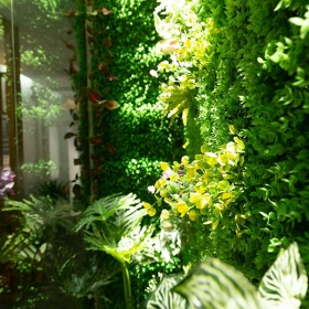 ROXIE SPA & CLINIC