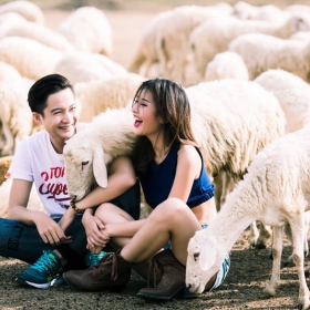 Nụ Cười Vàng Studio