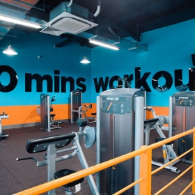 The New Gym