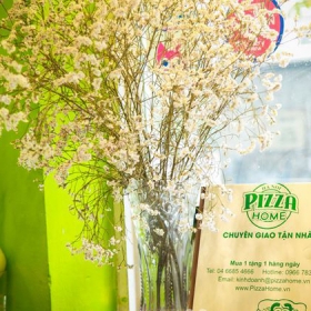 Pizza Home