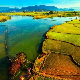 Pioneer Travel
