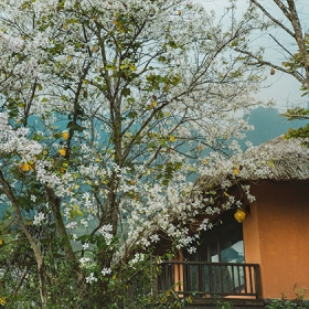 Avana Retreat