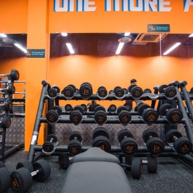 The New Gym