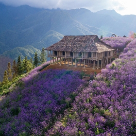 Lacasa Hotel Sapa