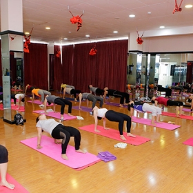 Yoga Life