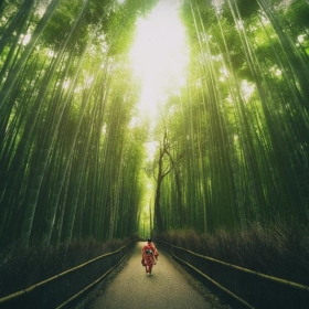 Travel 247 