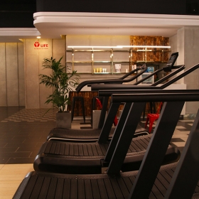 Life Fitness Yoga