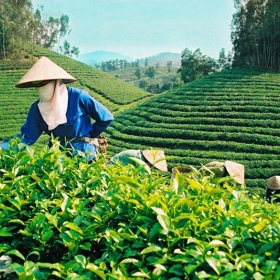 Vietnam ANZ Travel