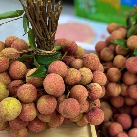 Luôn Tươi Sạch