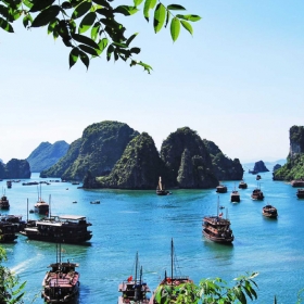  Du thuyền BHAYA 