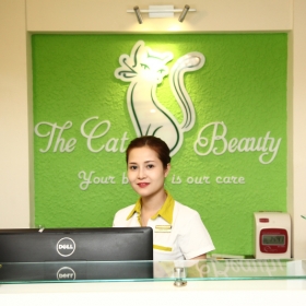The Cat Beauty 