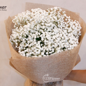 123Flower
