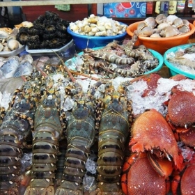 Thiên Việt Travel 